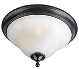 Black and Ice 16 Wide Ceiling Light Fixture