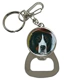 Limited Edition Violano Bottle Opener Keychain Bernese Mountain Dog