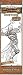 Dungeons & Dragons Miniaturen - Deathknell Booster Miniaturenspiel [englischsprachige Version]