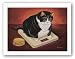 Stretch Kelley by Lowell Herrero 16"x12" Art Print Poster