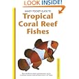 Handy Pocket Guide to Tropical Coral Reef Fishes (Handy Pocket Guides) by Gerald R. Allen, Roger Steene, Rudie Kuiter, and Mark Strickland