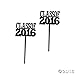 Class of 2016 Cupcake Food/Appetizer Picks for Graduation Party - 72 pc