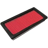 Ecogard XA10025 Air Filter