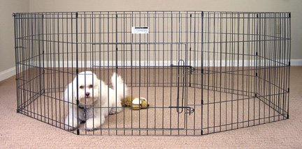 Childrens Toyshop  Pet Supplies : Hammered Finish Exercise Pen 48 inch x 24 inch panels