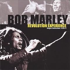 Revolution Experience