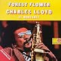 Forest Flower: Live in Monterey Forest Flower: Live in Monterey