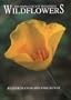 100 Napa County roadside wildflowers