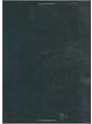 Brahms Studies: Analytical and Historical Perspectives- Papers Delivered at the International Brahms Conference, Washington, D. C., 5-8 May 1983