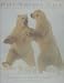 Polar Dance: Born of the North Wind