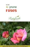 How to Prune Roses (Rainforth Home and Garden's Secrets and Solutions)