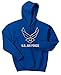 Custom U.S. Air Force chevron logo on mens hooded pullover sweatshirt
