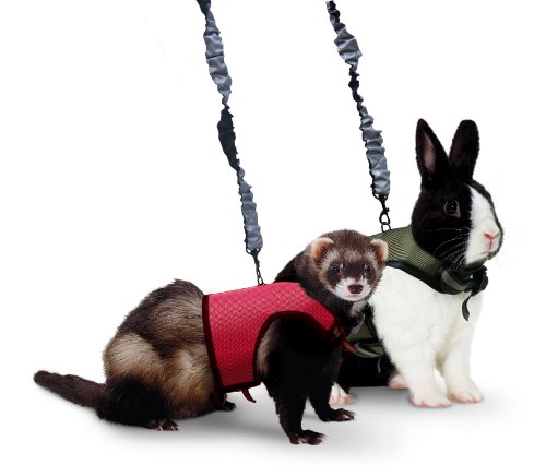 Super Pet Ferret Comfort Harness and Stretchy Leash