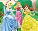 Disney Princesses Blanket - Cinderella Belle and Sleeping Beauty Garden Fleece Throw
