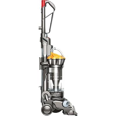 Dyson DC33
