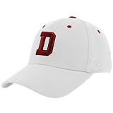 NCAA Top of the World Davidson Wildcats White Wordmark 1Fit Hat