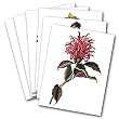 German School Botanicals - Box Set of 12 Assorted Greeting Cards and Patterned Envelopes