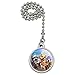 Graphics and More No Dogs on Beach Selfie Golden Retriever Westie Pug Ceiling Fan and Light Pull Chain
