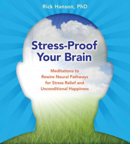 stress proof your brain meditations to rewire neural pathways for stress relief and unconditional happiness