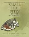 Current Approaches to the Analysis and Interpretation of Small Lithic Sites in the Northeast
