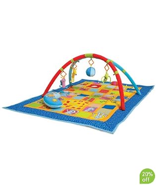 3 in 1 Curiosity Gym
