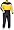 Yellow/Black