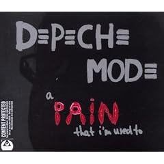 A Pain That I'M Used To