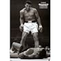 Muhammad Ali Poster ~ Sonny Liston Knockout ~ First Minute , First Round 5/25/1965 ~ Exclusive U.K. Import ~ 24x36"