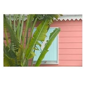 Palm and Pineapple Shutters Detail, Great Abaco Island, Bahamas Photographic Print by Walter Bibikow, 24" x 18"