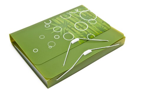 The duo: A 3-ring Binder with Expanding File Folder - Aqua Bamboo
