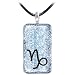 Holly Lynn Silver CAPRICORN Zodiac Dichroic Glass Necklace