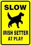 SLOW IRISH SETTER AT PLAY dog hunt pet sign