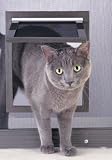 Pet Screen Door