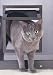 Pet Screen Door