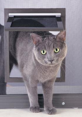 Pet Screen Door