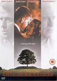 This Is My Father [DVD]