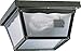 Quorum 3080-9-15 Outdoor Flush Mount, 2-Light, 120 Total Watts, Gloss Black
