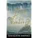 Year of Wonders