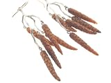 Birch Tree Seed Earrings in Silver by Annette Ferdinandsen