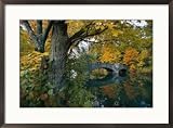 Autumnal view of a stone bridge Framed Art Poster Print by Robert Madden, 29x21