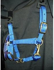 Weaver Leather Weaver Miniature Horse Mini Horse Nylon Halter Blue Adjustable Chin