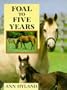 Foal to Five Years