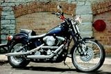Harley Davidson Road King Classic Electra Glide Xenon Fog Lamps Lights Kit