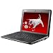 41DJep0TWcL. SL75  MSI Wind U100641US 10Inch Black Netbook 3 Cell