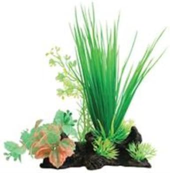 Tropical Elements Hairgrass Ludwigia Combo