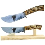 Fantasy Eagle Collector Knife with Stand - 10 inches
