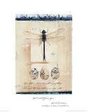 Dragon Fly Art Print Poster By Julie Nightingale, 22  x 28 