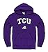 TCU Horned Frogs Adult Arch and Logo Hooded Sweatshirt - Purple