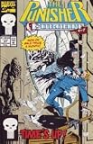 The Punisher #67 (Volume II)