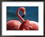 Pink Flamingos Framed Art Poster Print by Michele Burgess, 22x18
