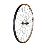 Alex X101 36H Silver Steel Hub 3/8 Nutted 26 x 1.75 Silver Wheel Front